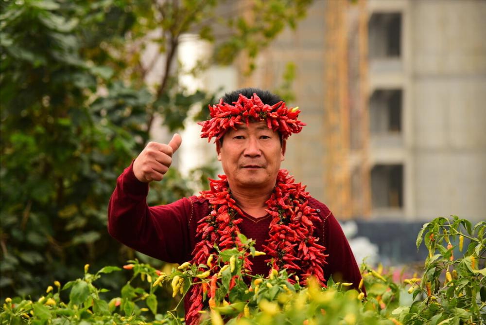 辣王李永志挑战江西辣椒,辣王李永志揭秘