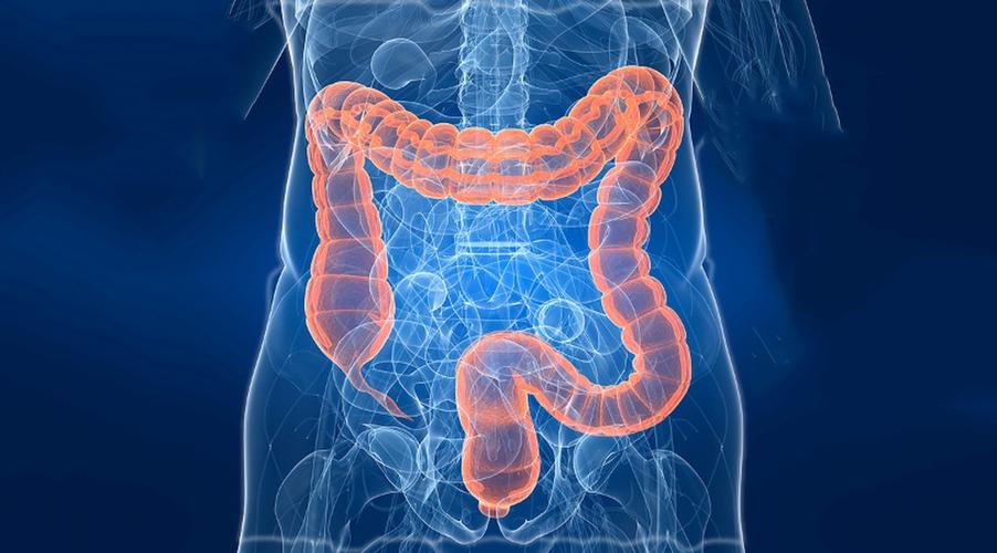 【科普】子宫内膜癌有两种类型，你了解吗？腹腔镜手术效果如何？