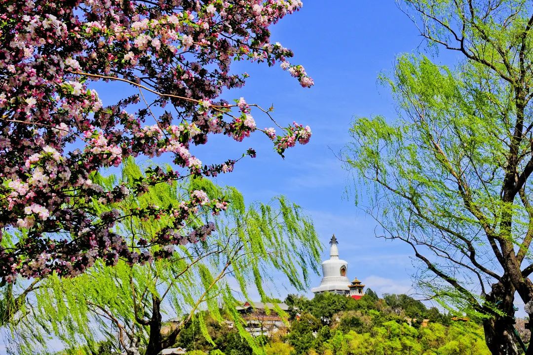 西城印象西平县,西城印象二期