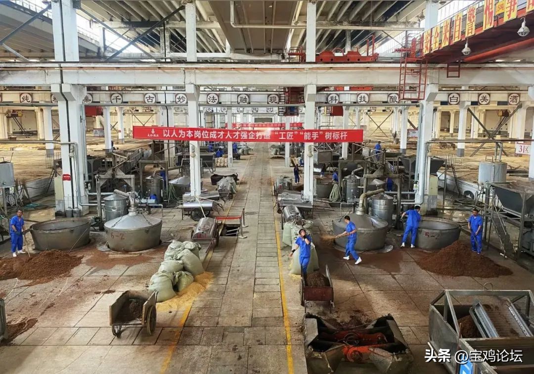 宝鸡：“一滴太白酒，十里草木香“走进太白酒厂！