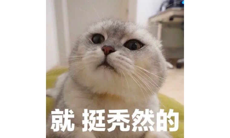 “脱发”可不是“losehair”！就挺秃然的~