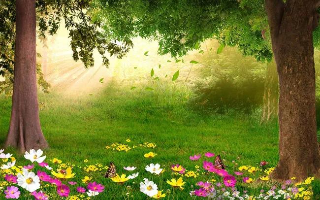 绿草自然风景图片,惊艳高清山水花草风景图片