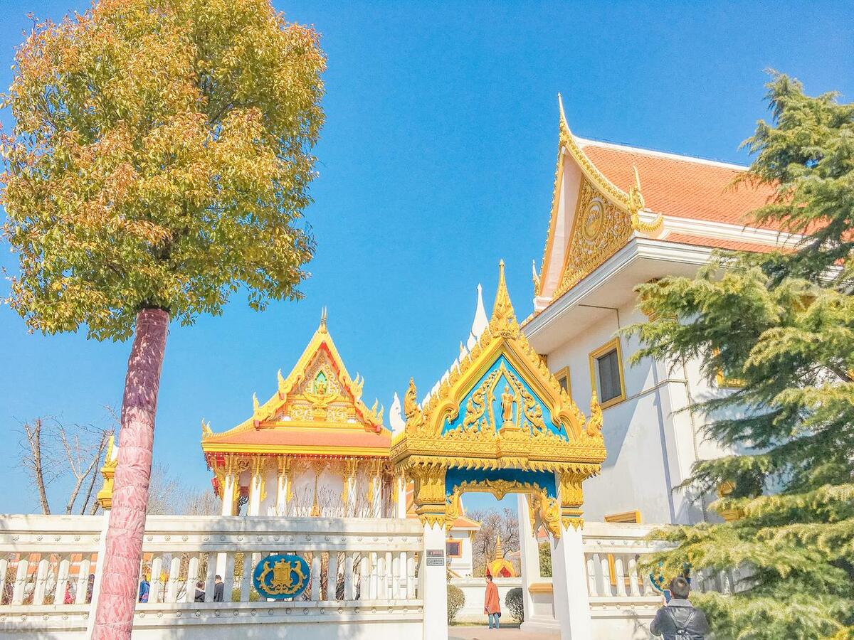 洛阳必去的十大景点,洛阳必去十大景点