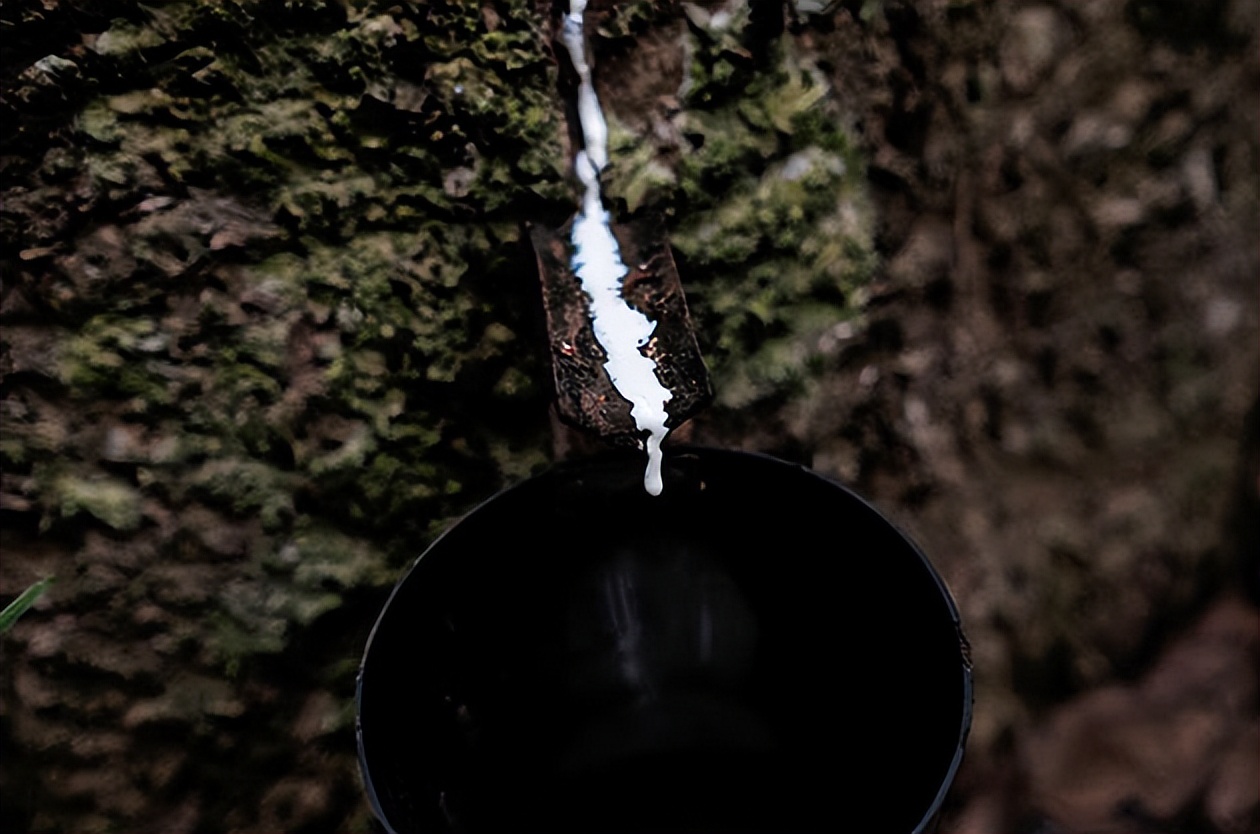 玛雅文明有哪些具体的事例,玛雅文明的真相有多可怕