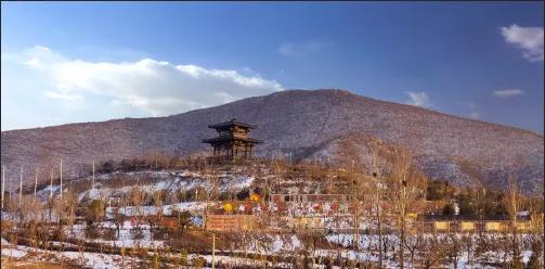 龙王山“劳动公园"之九(浴火重生,凤凰涅槃)