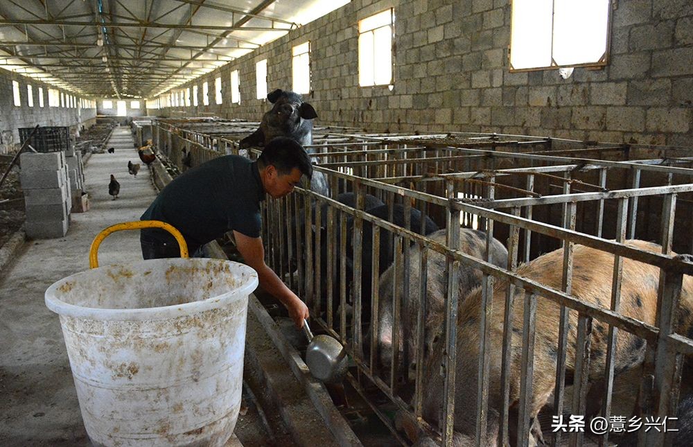 贵州银行兴农贷,贵州银行惠农金融好吗