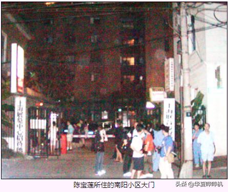 港姐陈宝莲，29年的人生路，背后是道不尽的酸楚