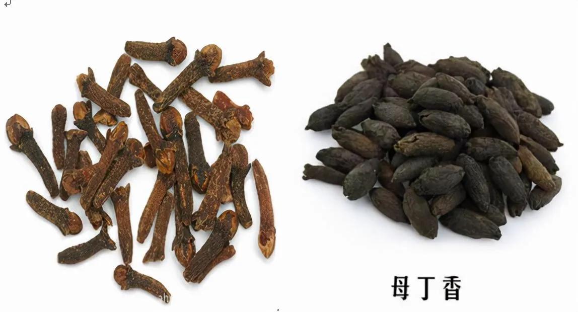 丁香酒有哪些好处,丁香酒什么时候用有效果