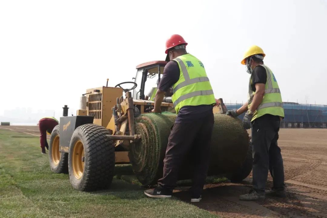 大连梭鱼湾足球场草坪,大连梭鱼湾足球场惊艳亮相