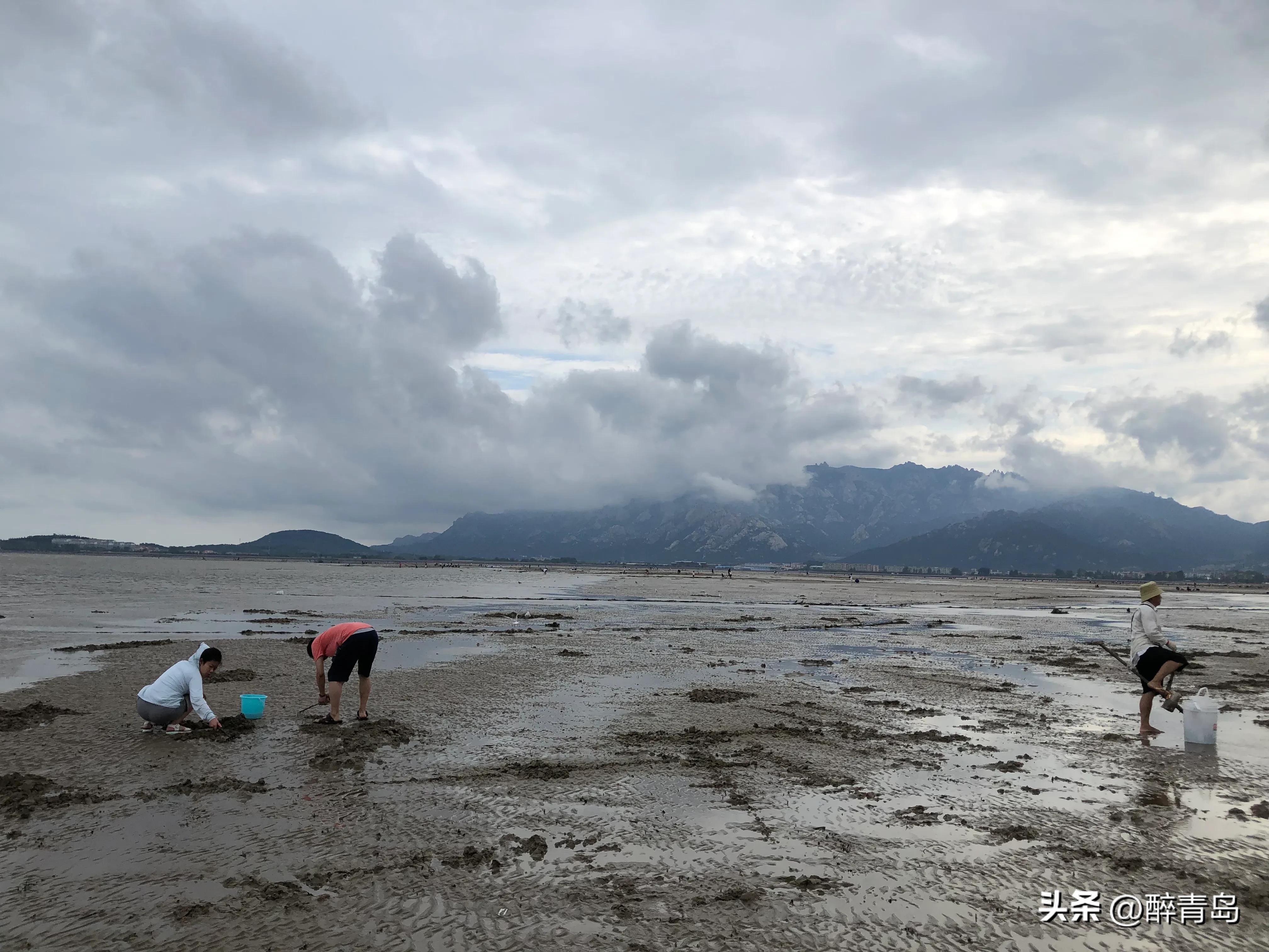 与小海鲜们捉迷藏（篇二）
