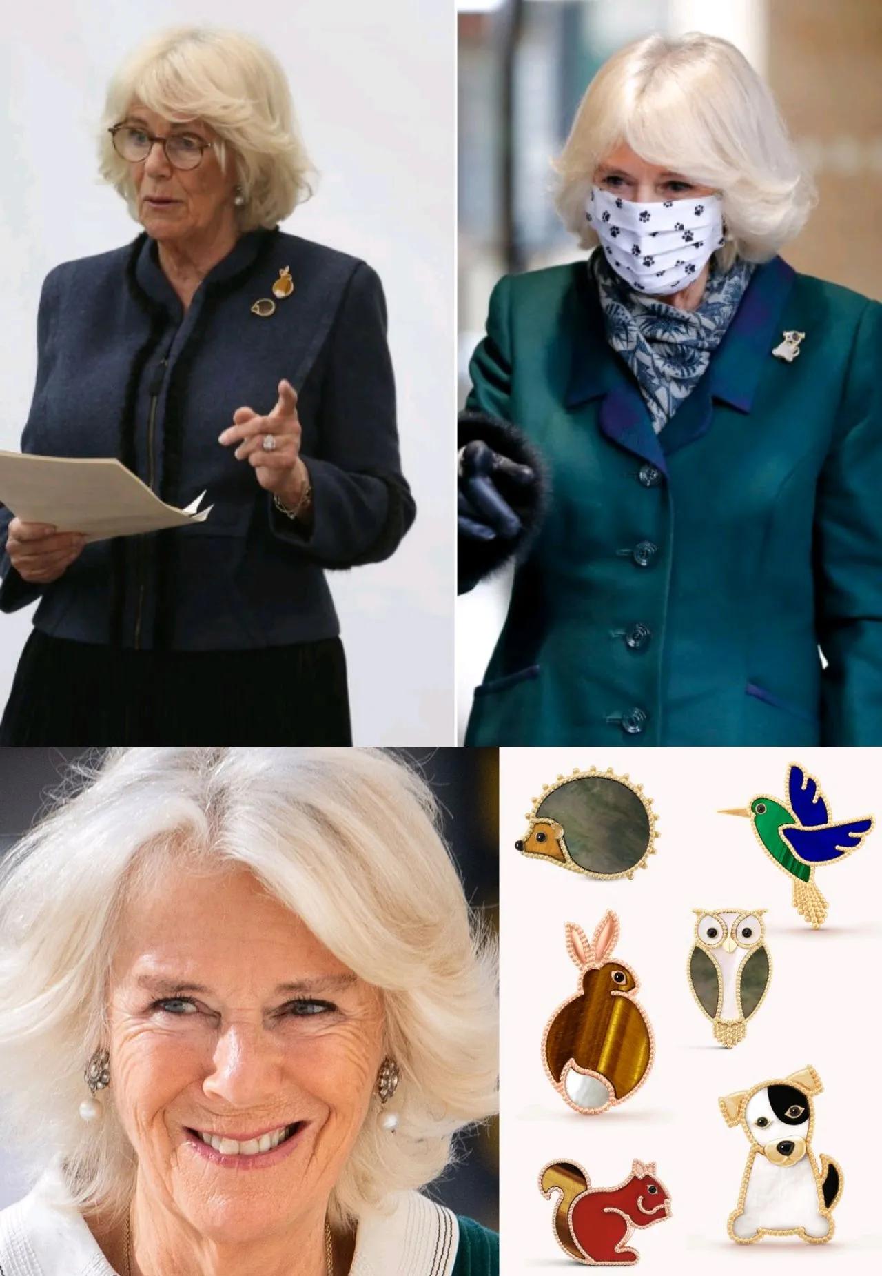 梵克雅宝双面黑白价格,梵克雅宝芭蕾舞胸针卡米拉