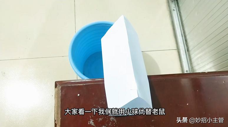 家里有老鼠别着急,家里有老鼠怎么办小妙招不用香油