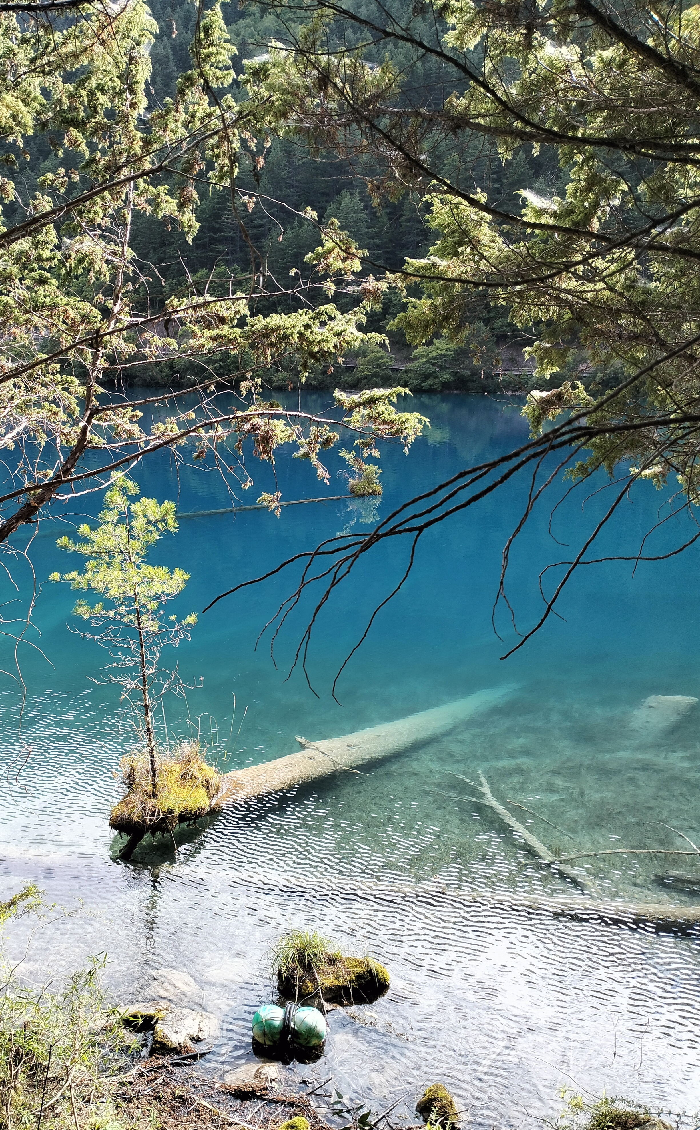 九寨沟一年四季都有雪山吗,九寨沟一年四季都开放吗