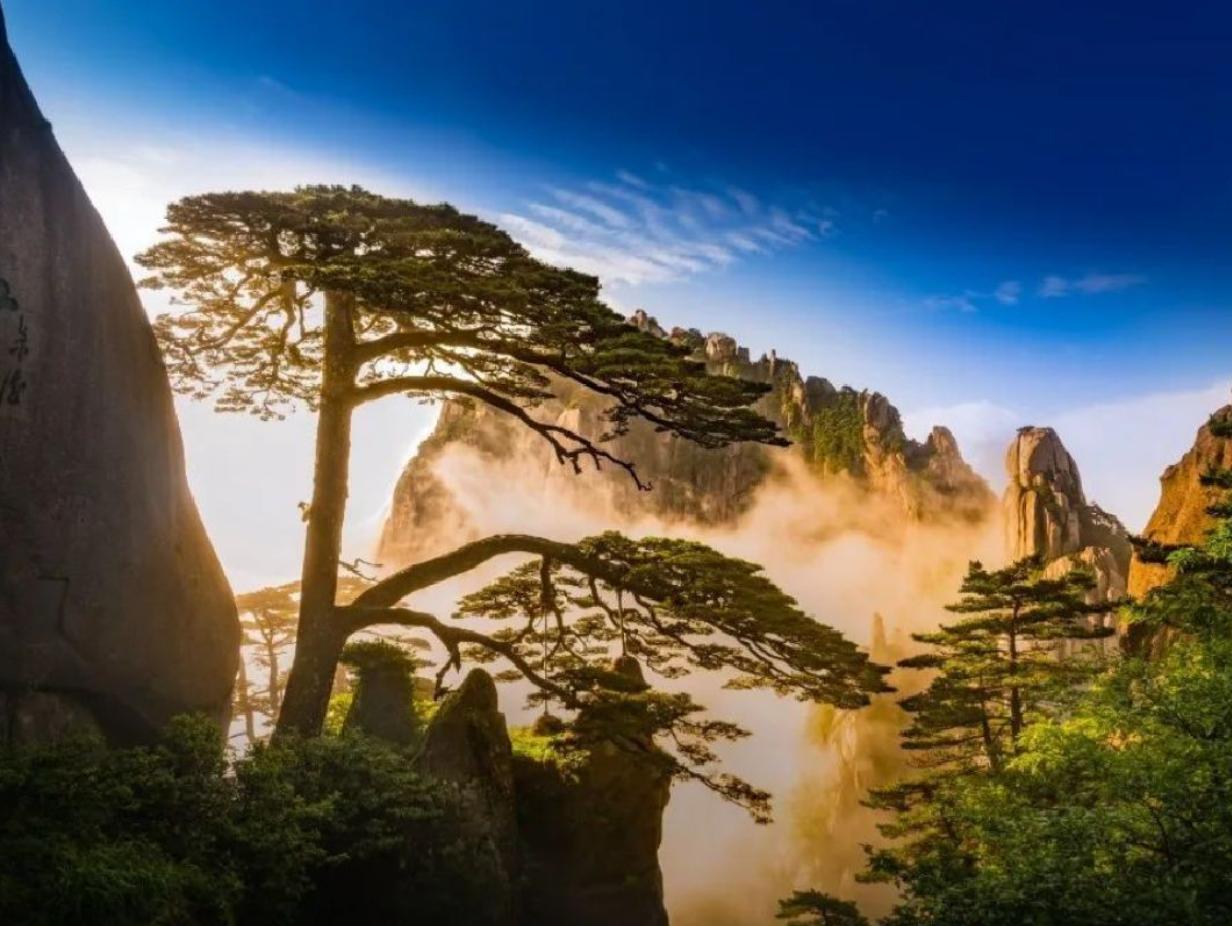 旅游必去景点十大名山,国内五大名山哪个最值得去