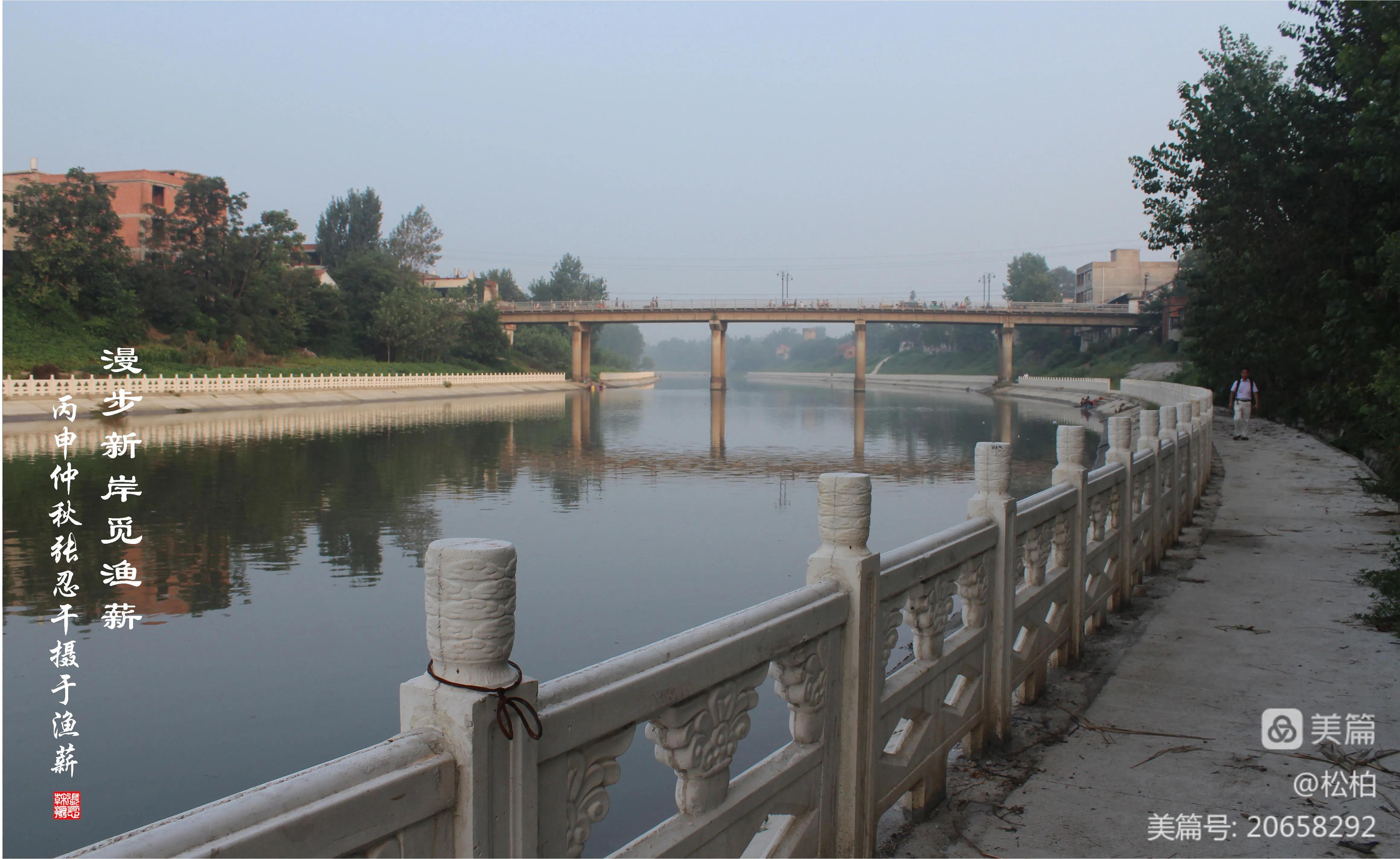 松柏古树图片,松柏古筝品牌