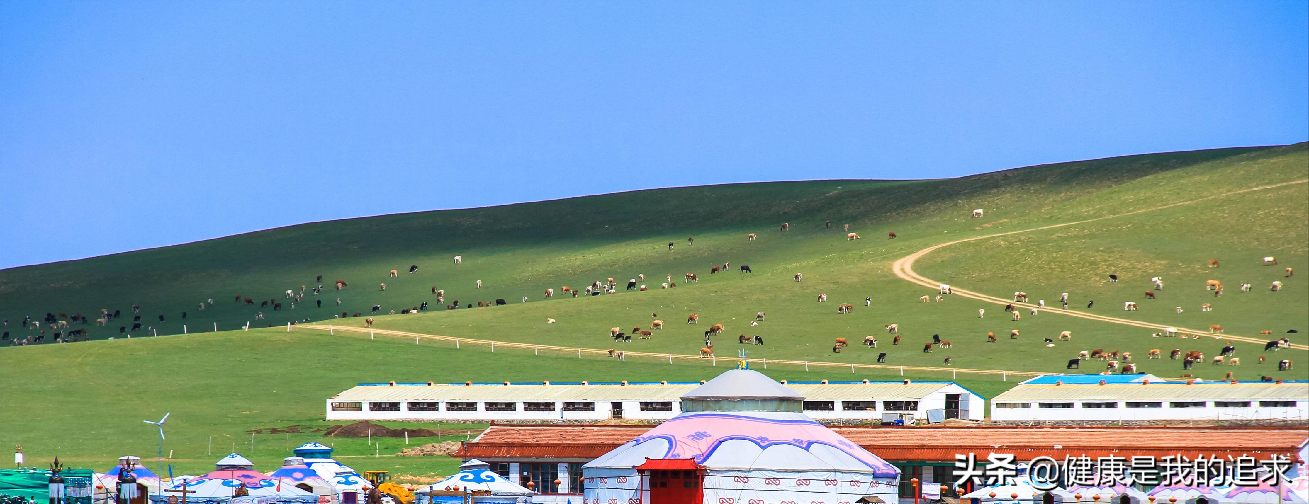 太仆寺旗去哪旅游,太仆寺旗有地方玩吗