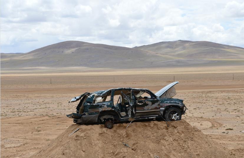 狼的弱点,狼最致命的弱点是什么