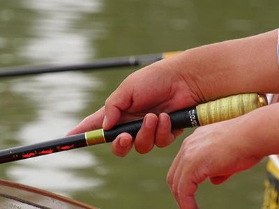 钓鲫鱼怎么选口味,钓鲫鱼如何选钓具