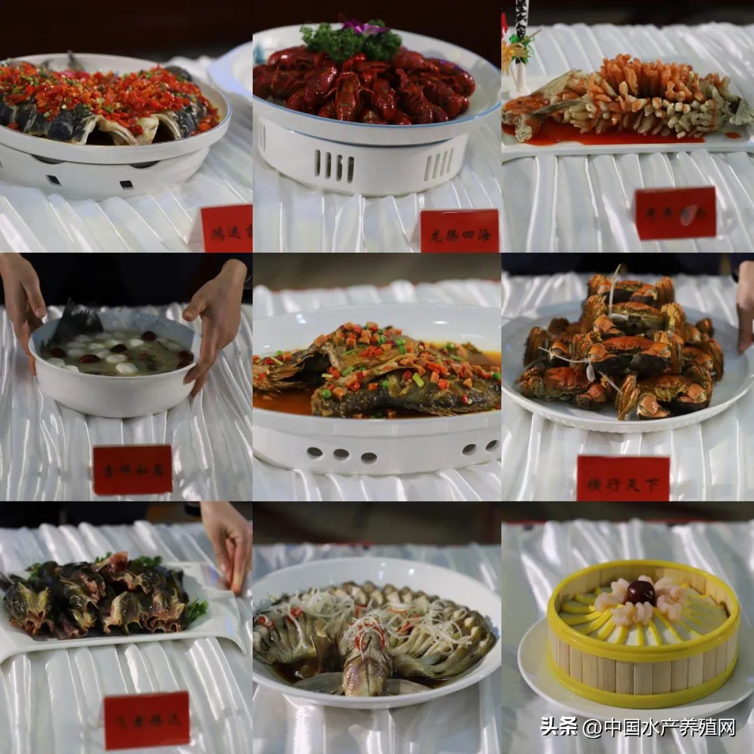 阳澄湖大闸蟹路线图,去阳澄湖大闸蟹攻略路线