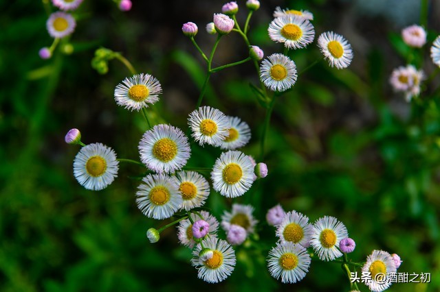 乡村故事：奸情（二十三）