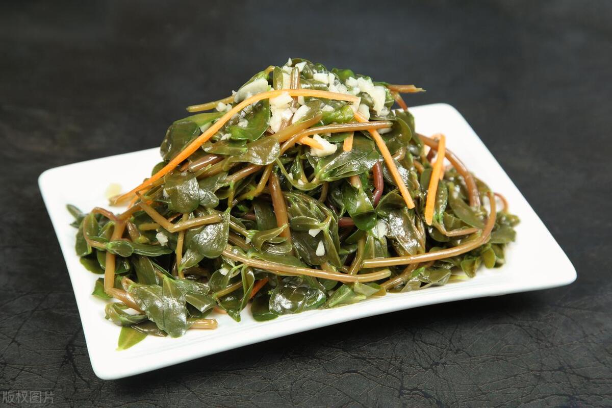 咱老百姓吃的野菜，竟是皮肤病的天然解药