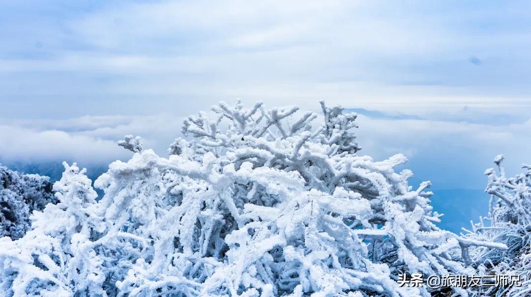 清远金子山旅游攻略看雾凇,广东金子山雪景旅游攻略