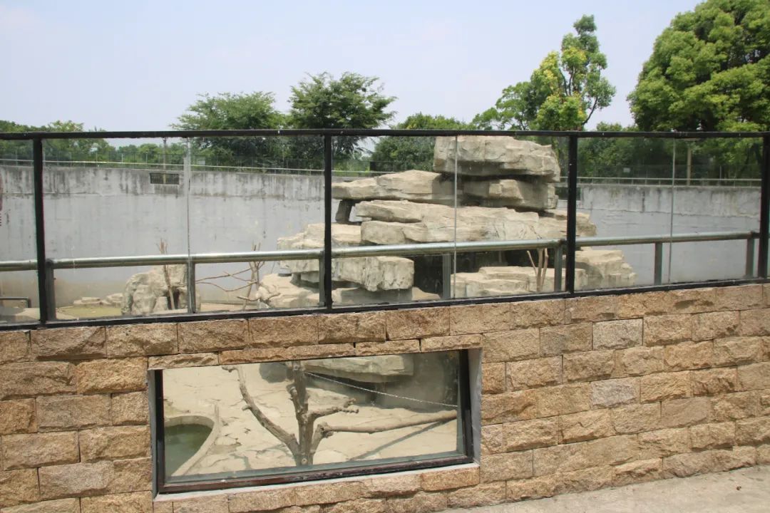 邢台动物园变大了没,淮安动物园开发时间