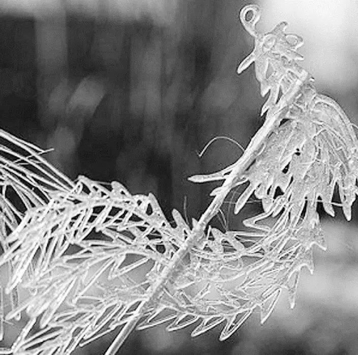 一勺一铲画出“万般甜”