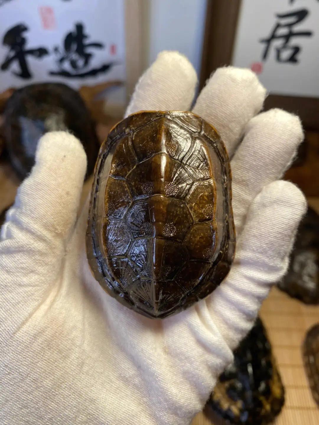 牛骨文玩一般什么颜色,牛骨文玩用哪个部位的骨头