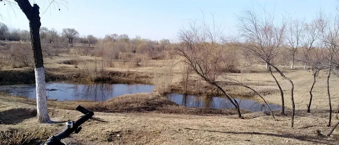 原创|2022迟到的春天之约