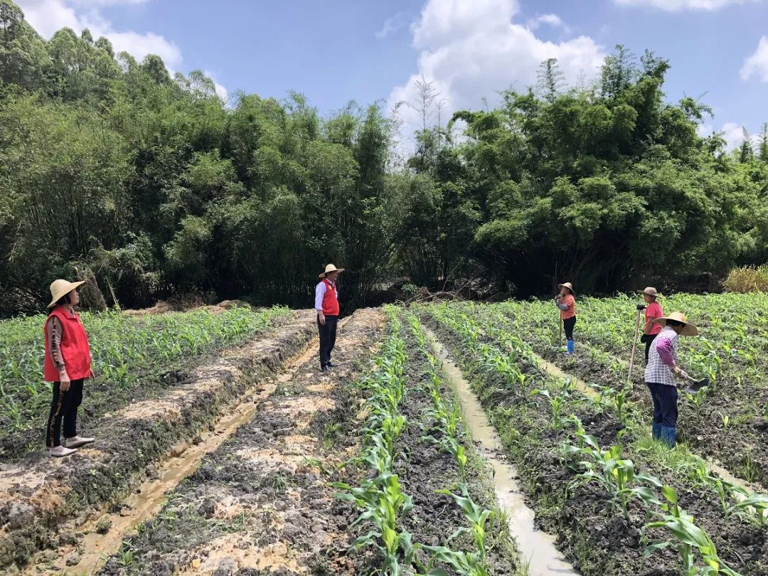 喜迎二十大丨东成镇：坚持*党**建引领走特色产业之路力促高质量发展