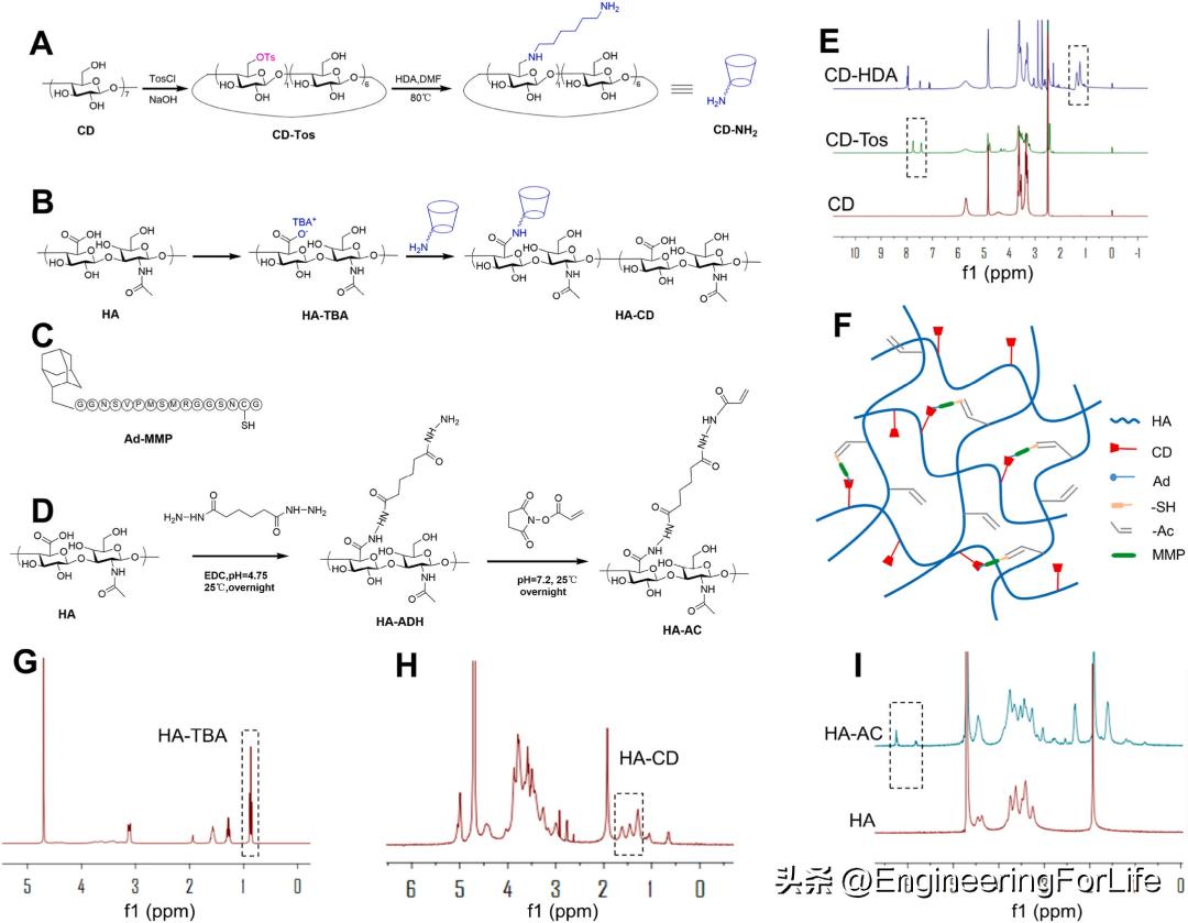 缺血性卒中干细胞,水凝胶干细胞