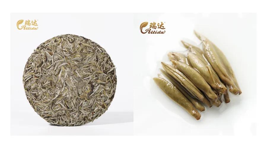 世界白茶在中国中国白茶在福鼎,世界白茶发源地在中国景谷