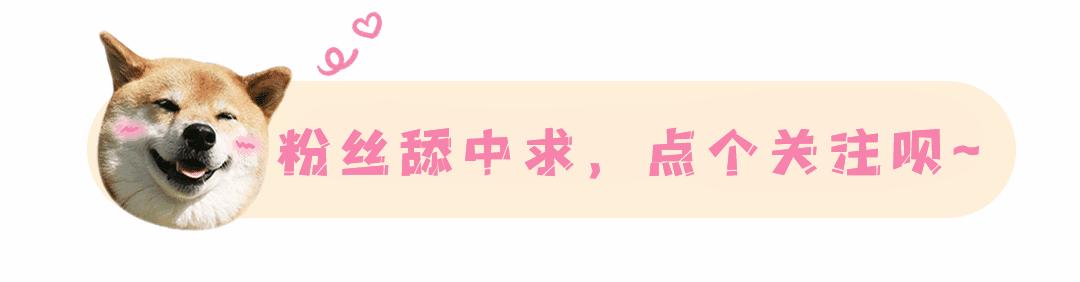 添可芙万ChorusProLite洗地机的70℃快速干燥仅需5分钟！