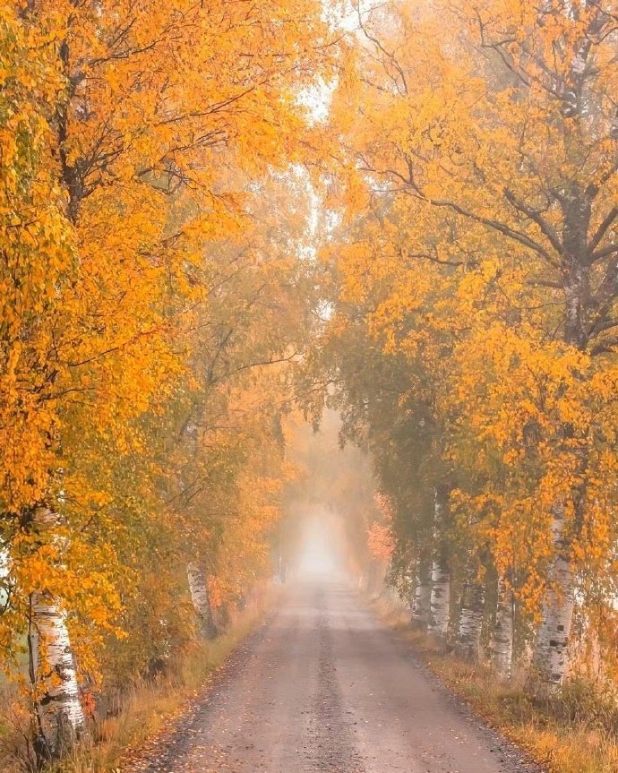 真正有福气的人都有以下几个特征,有福气的人身上往往有这四个特征