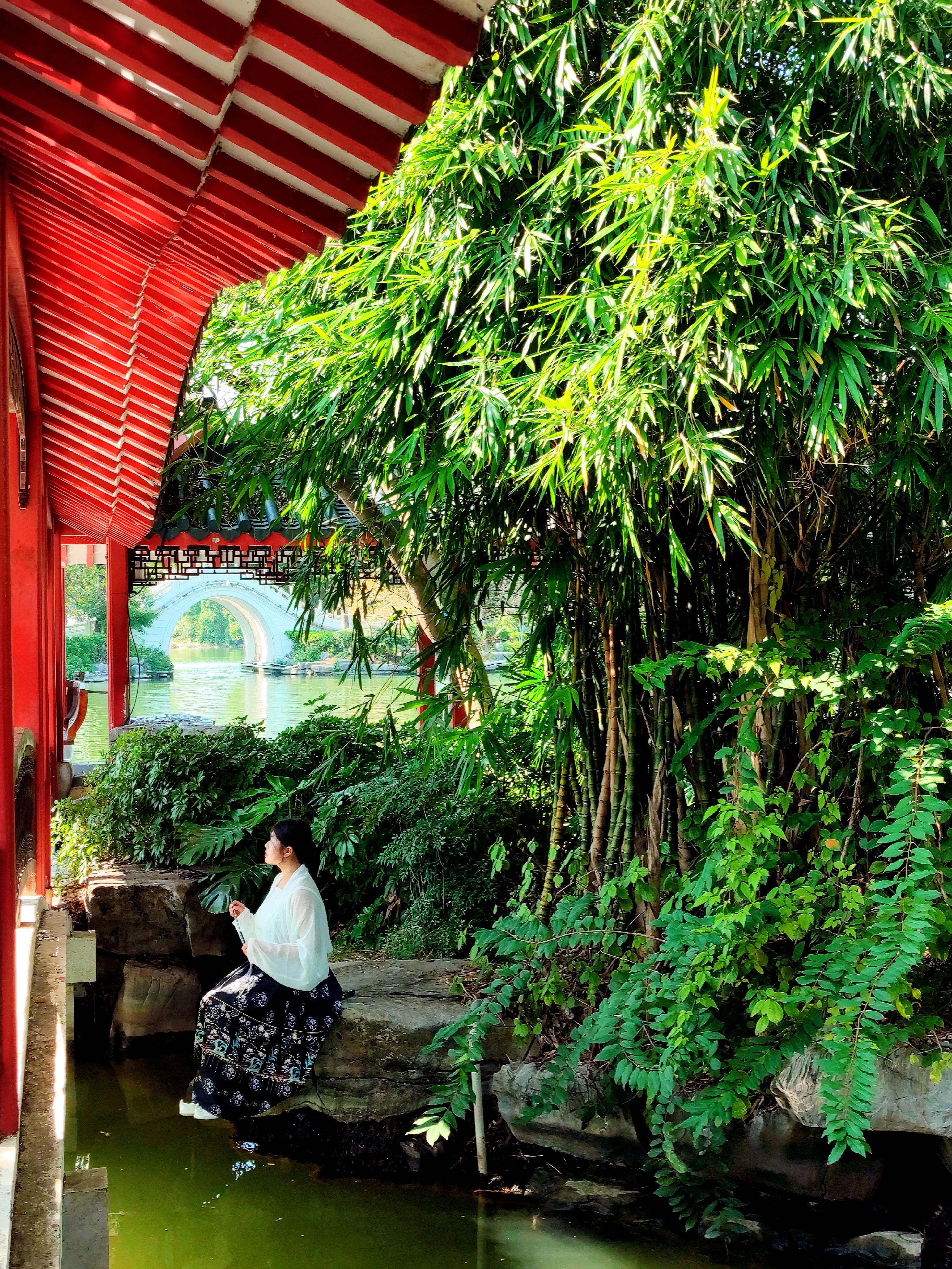 桂林榕湖之旅,春天桂林榕湖旅游攻略