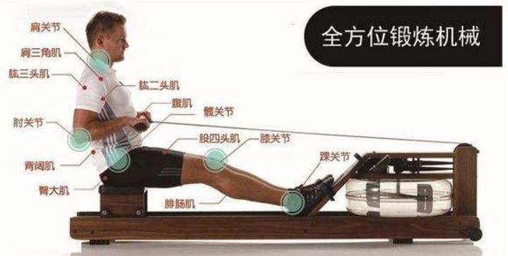 如何用划船机半年的时间减肥40斤,20分钟划船机减脂教程