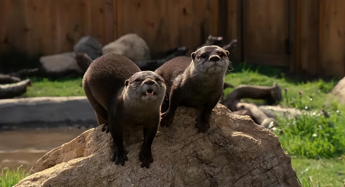 2020圣诞节礼物女生,2021圣诞节礼物女生