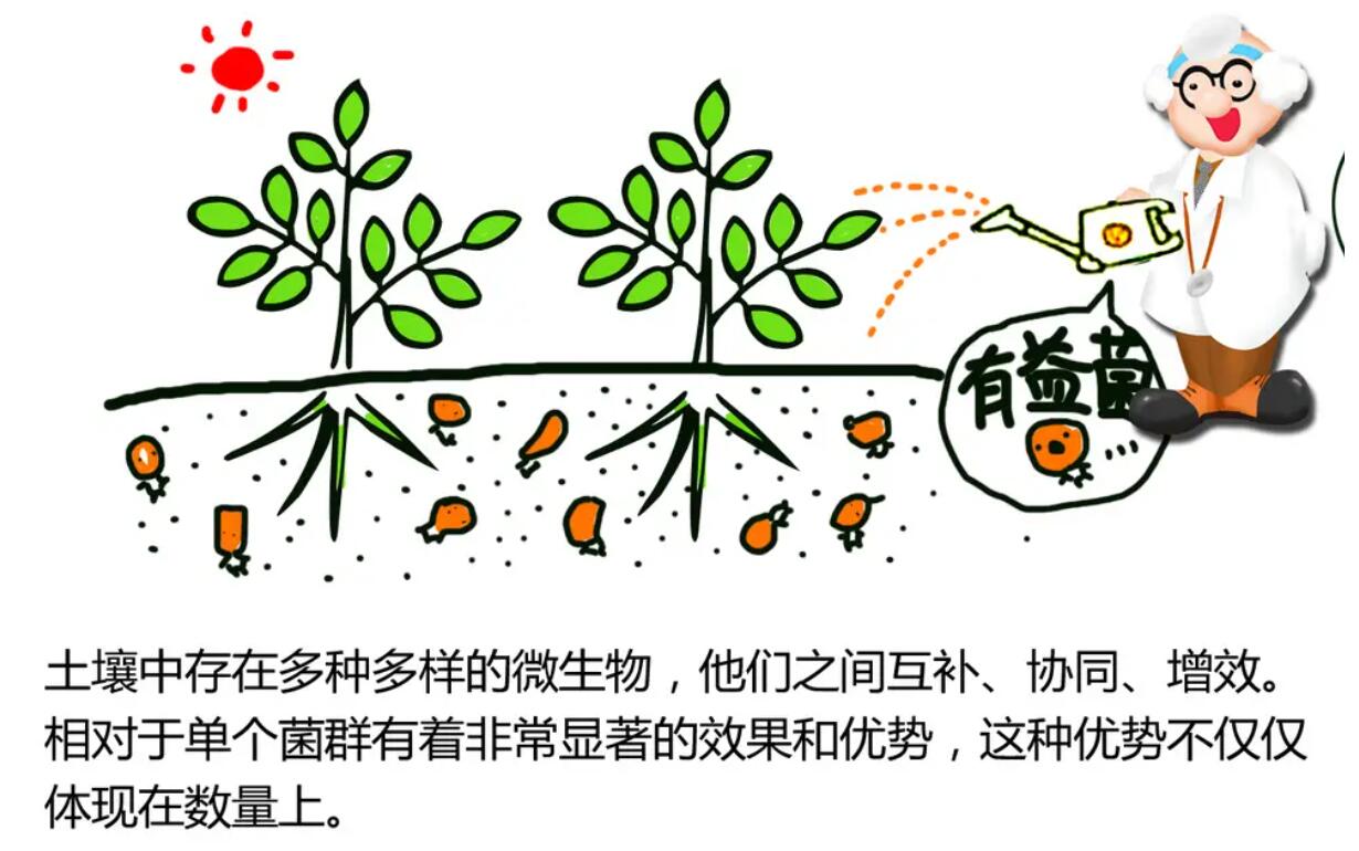 有机种植知识讲解,有机质是什么符合种植标准的