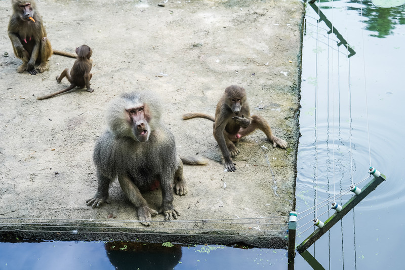 安吉中南百草园二天一夜攻略,安吉中南百草原刺激游乐项目
