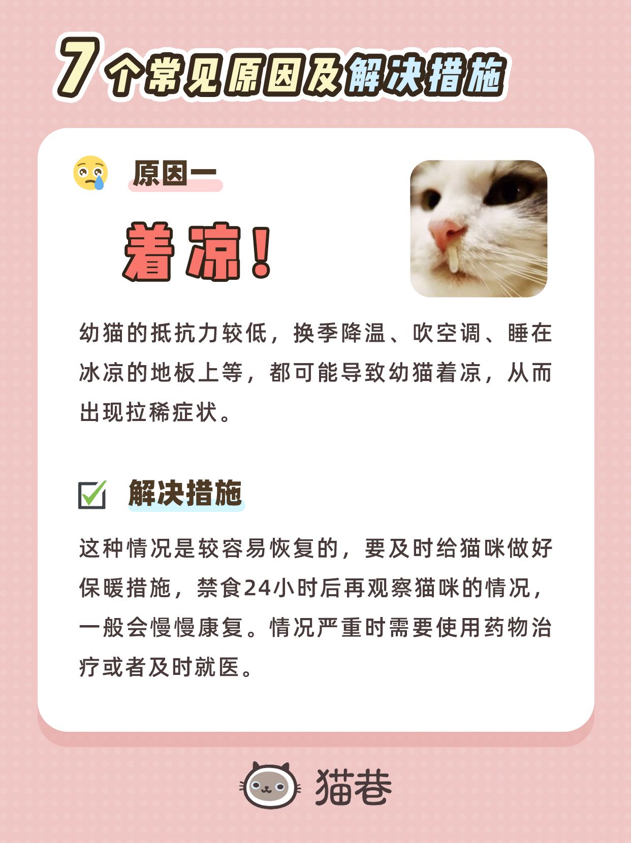 幼猫拉稀的解决办法是什么,幼猫拉稀一般什么原因