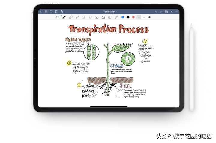 onenotegoodnotes和notability哪个好,手写笔记软件电脑端推荐