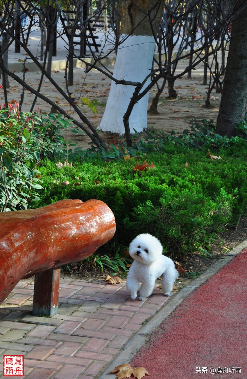 7月郑州凉快遛娃公园排行榜,郑州龙子湖避暑遛娃的地方