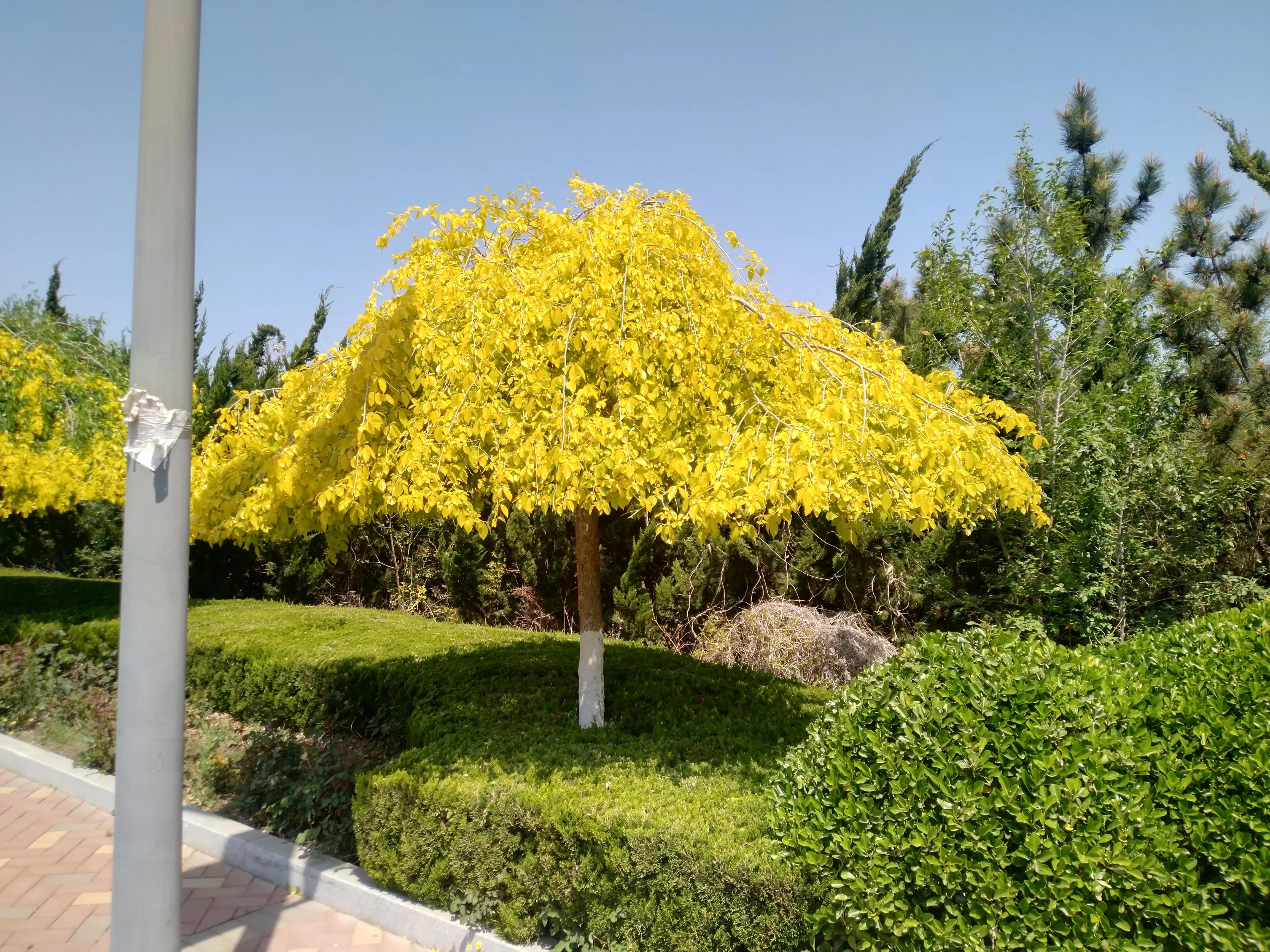 实体店与网店的生存现状,实体店和网店的发展趋势