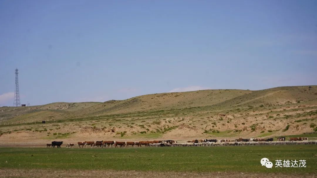 乡村行看振兴玉林,乡村行看振兴山西
