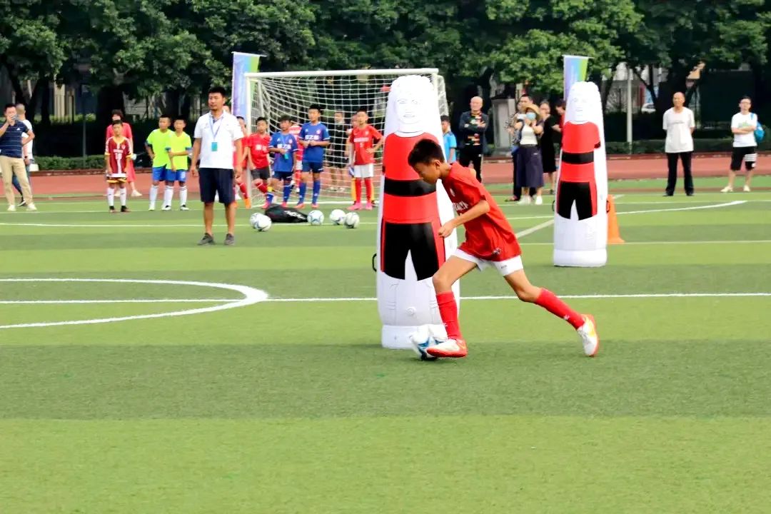 钱兔似锦大展鸿兔礼品盒,钱兔似锦大展宏兔的意思