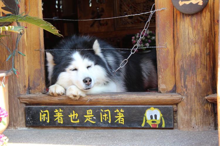 海外调查问卷到底是什么,海外问卷调查项目真实可靠吗