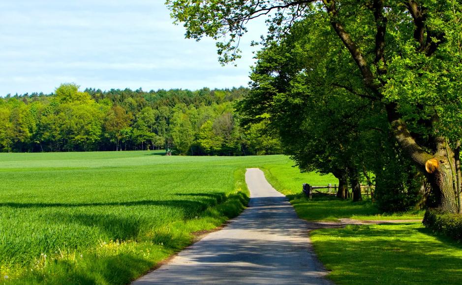 地产人速写61：从女篮时隔28年再次问鼎世界杯决赛想到的