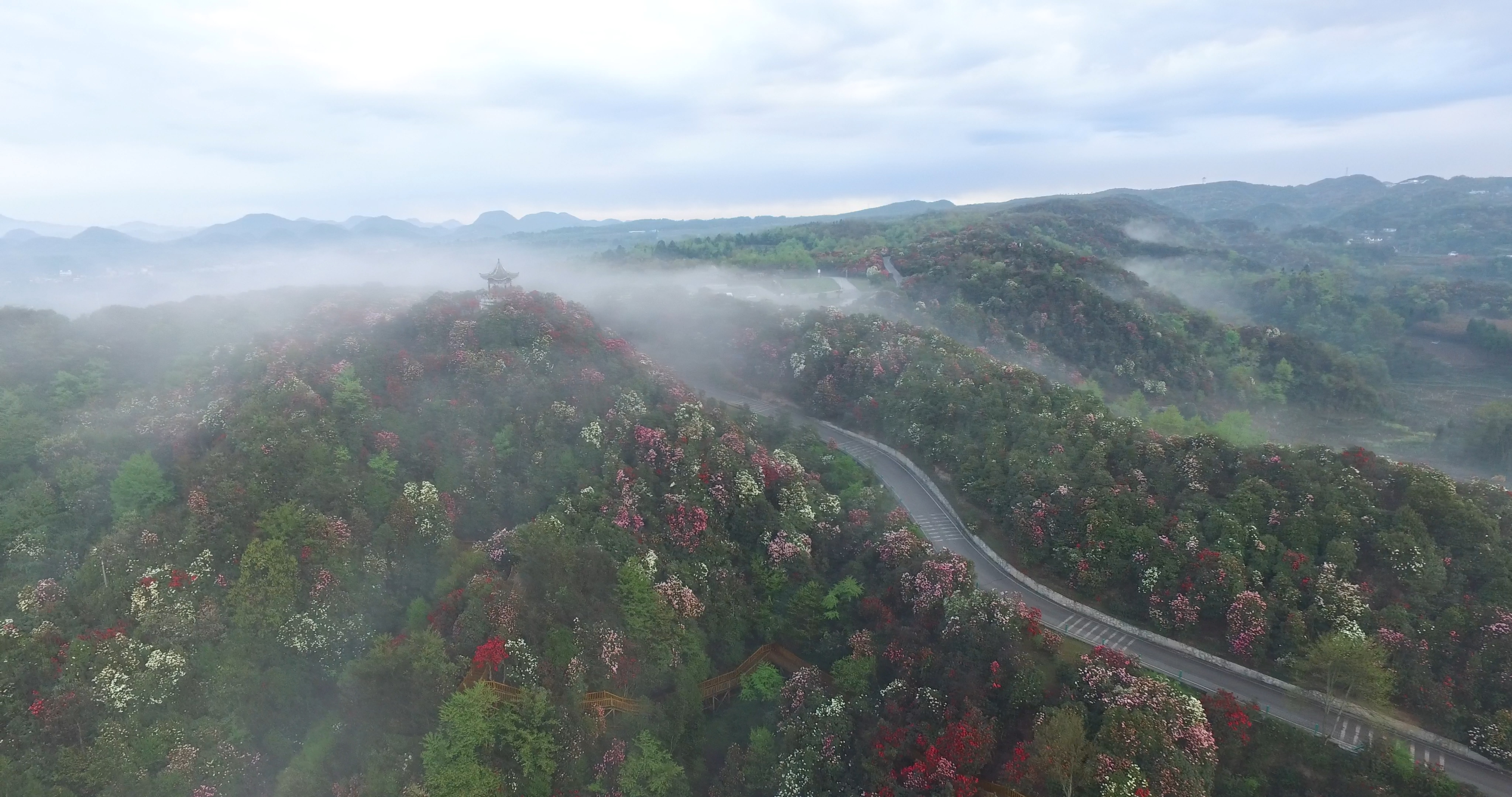多彩贵州花,多彩贵州花漾中国黔东南篇