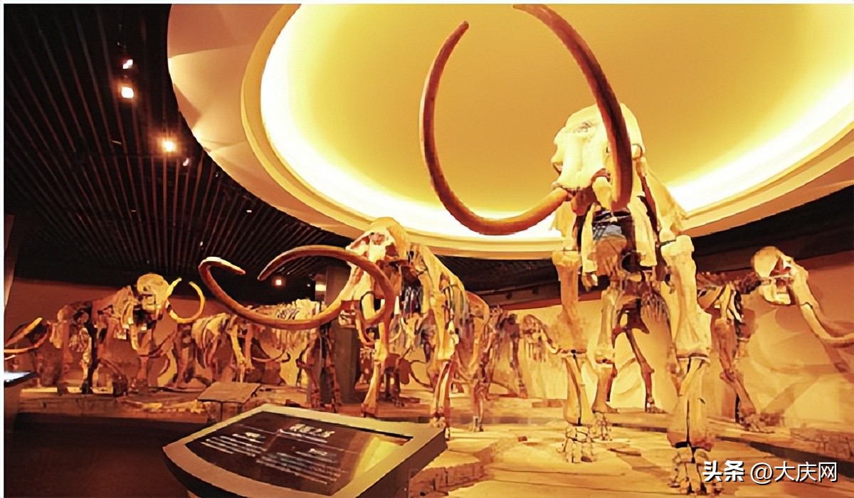 大庆城市风貌图,大庆欢迎你